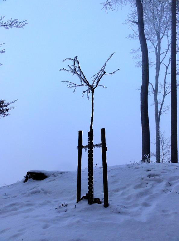 2011 01 29 A